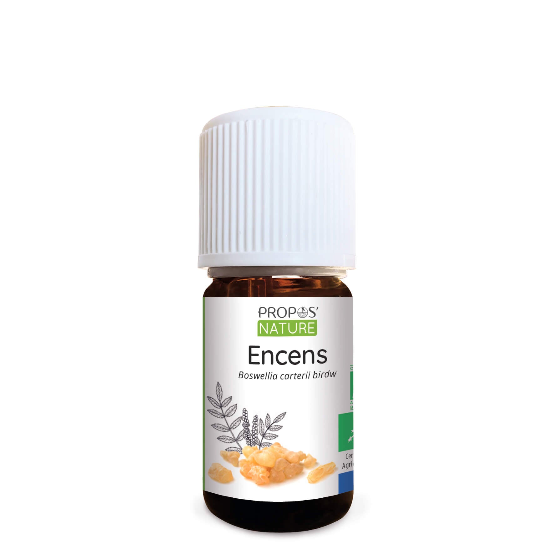 Organic Frankincense Essential Oil