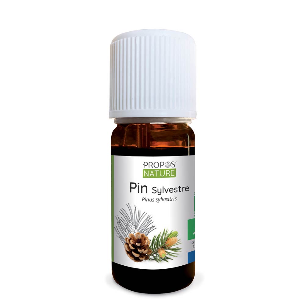 Huile essentielle de Pin sylvestre Bio
