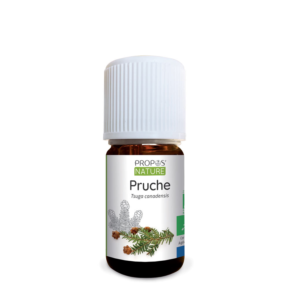 Huile essentielle de Pruche Bio
