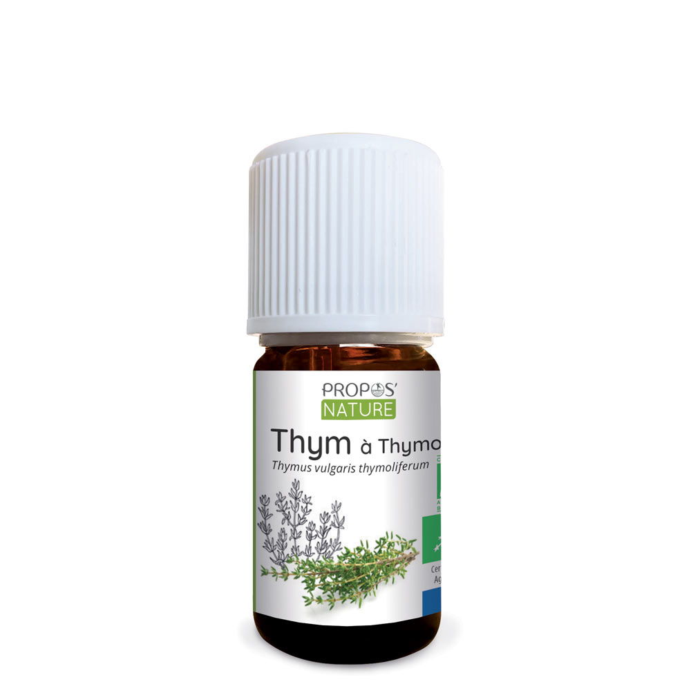 Organic Thyme Thymol Essential Oil
