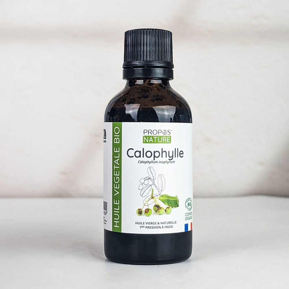 Huile de Calophylle Bio