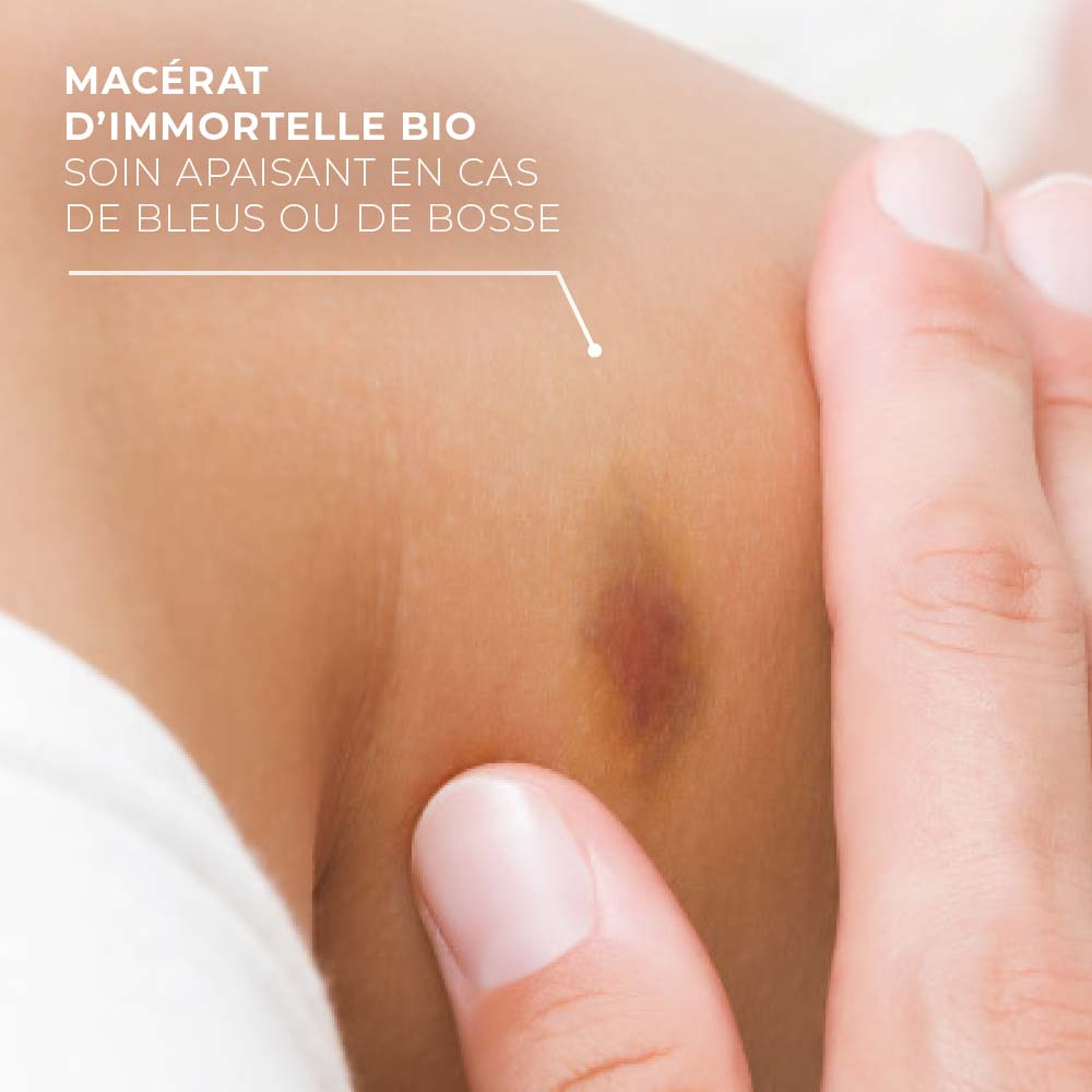 Macérat d'Immortelle Bio
