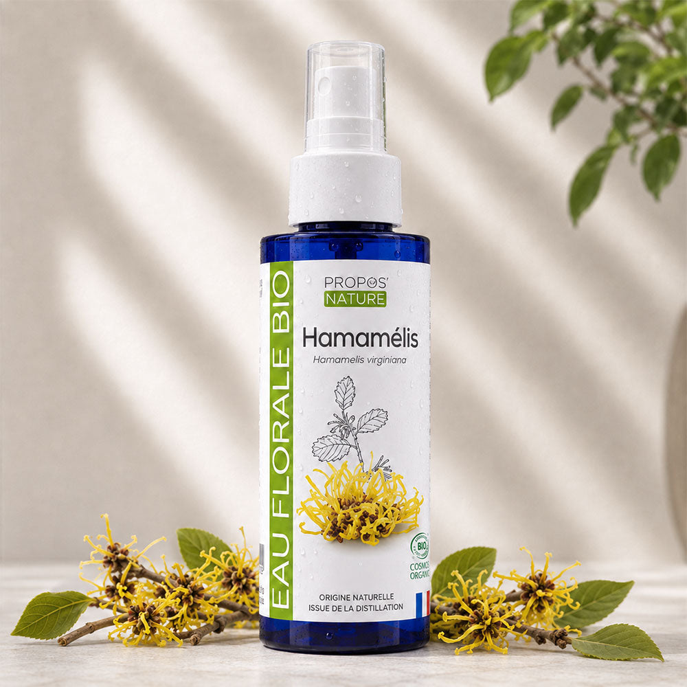 Hydrolat d'Hamamélis Bio