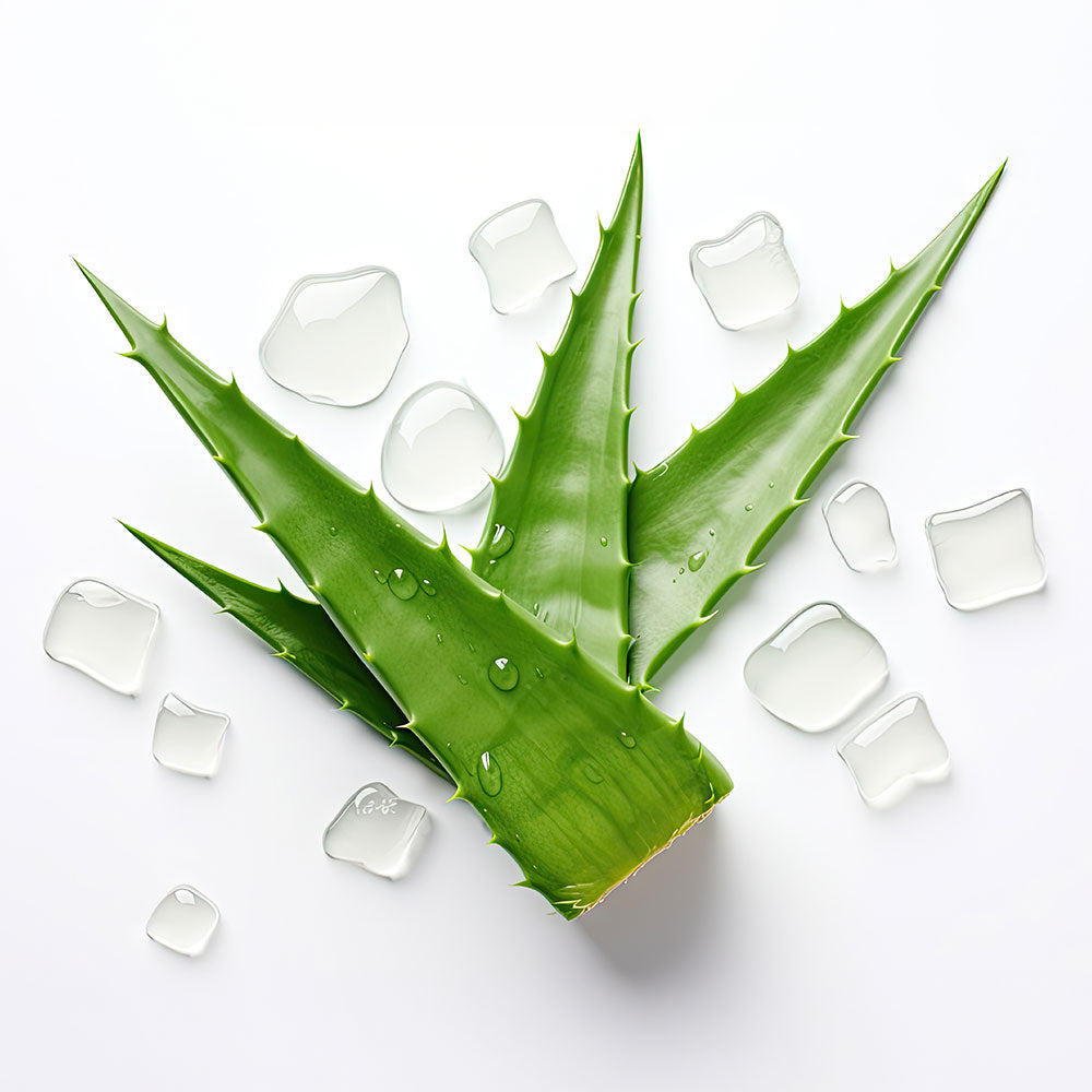 Jus d'Aloe vera à boire Bio