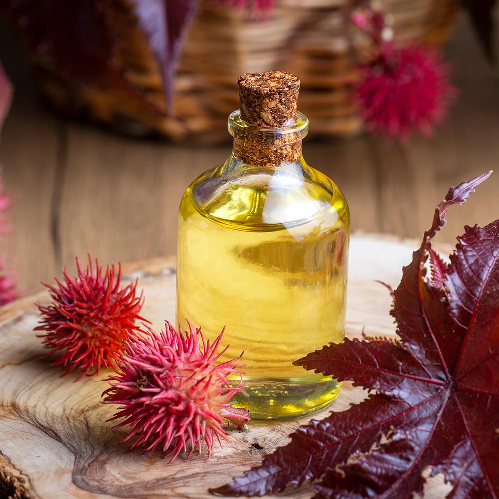 Les secrets de l'huile de Ricin