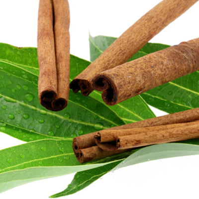 Huile essentielle - Cannelle de Ceylan bio
