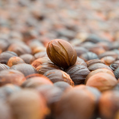 Huile essentielle - Noix de muscade bio