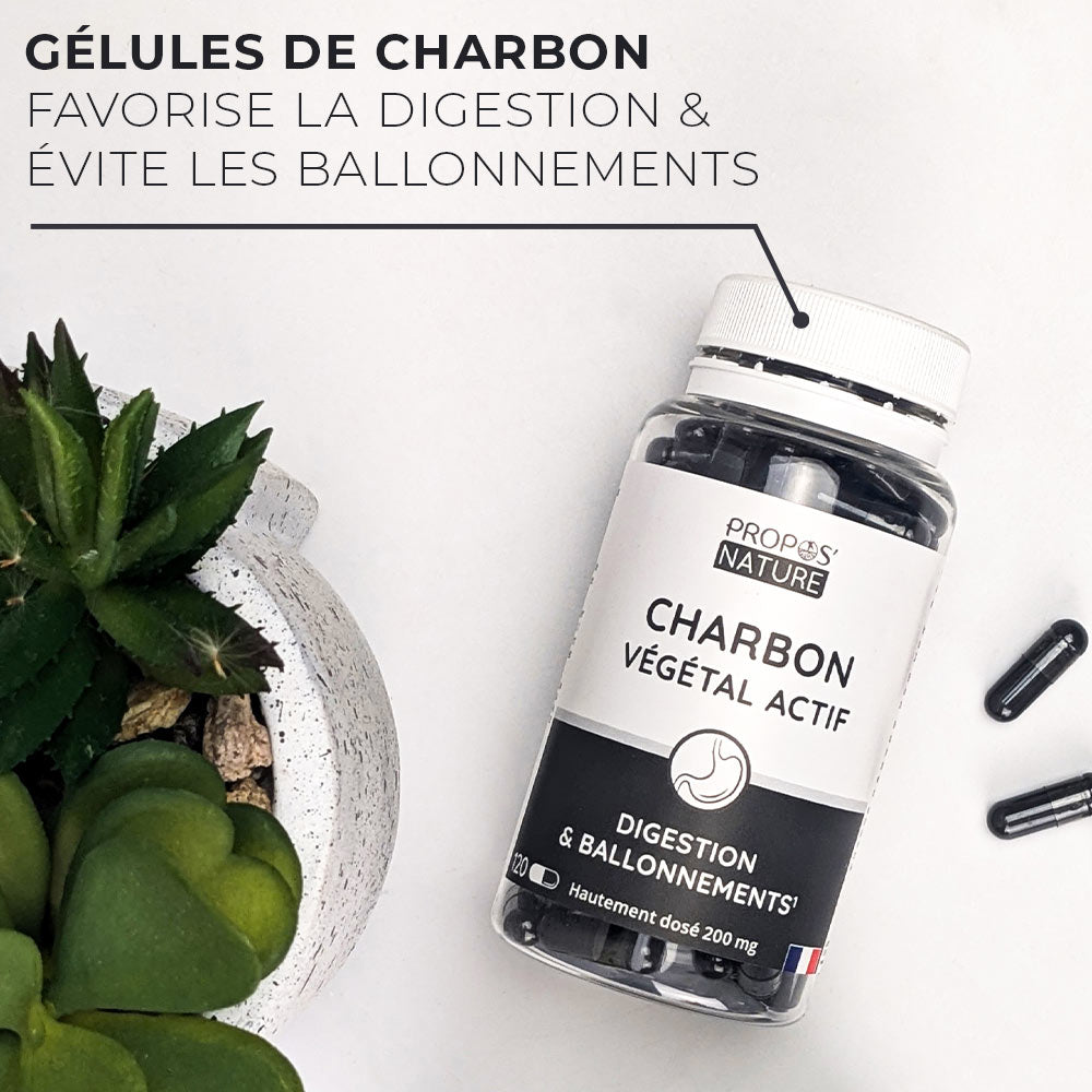 Charbon végétal actif
