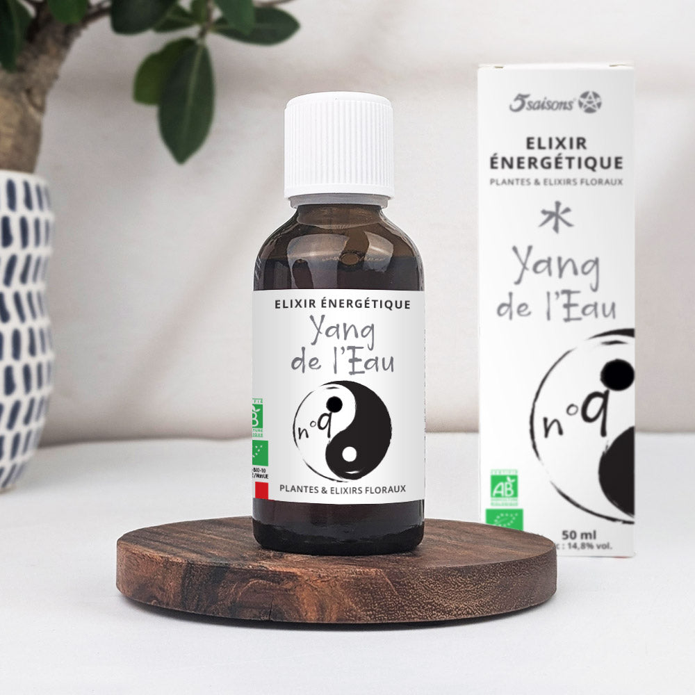 Energetic Elixir No. 9 - Water Yang