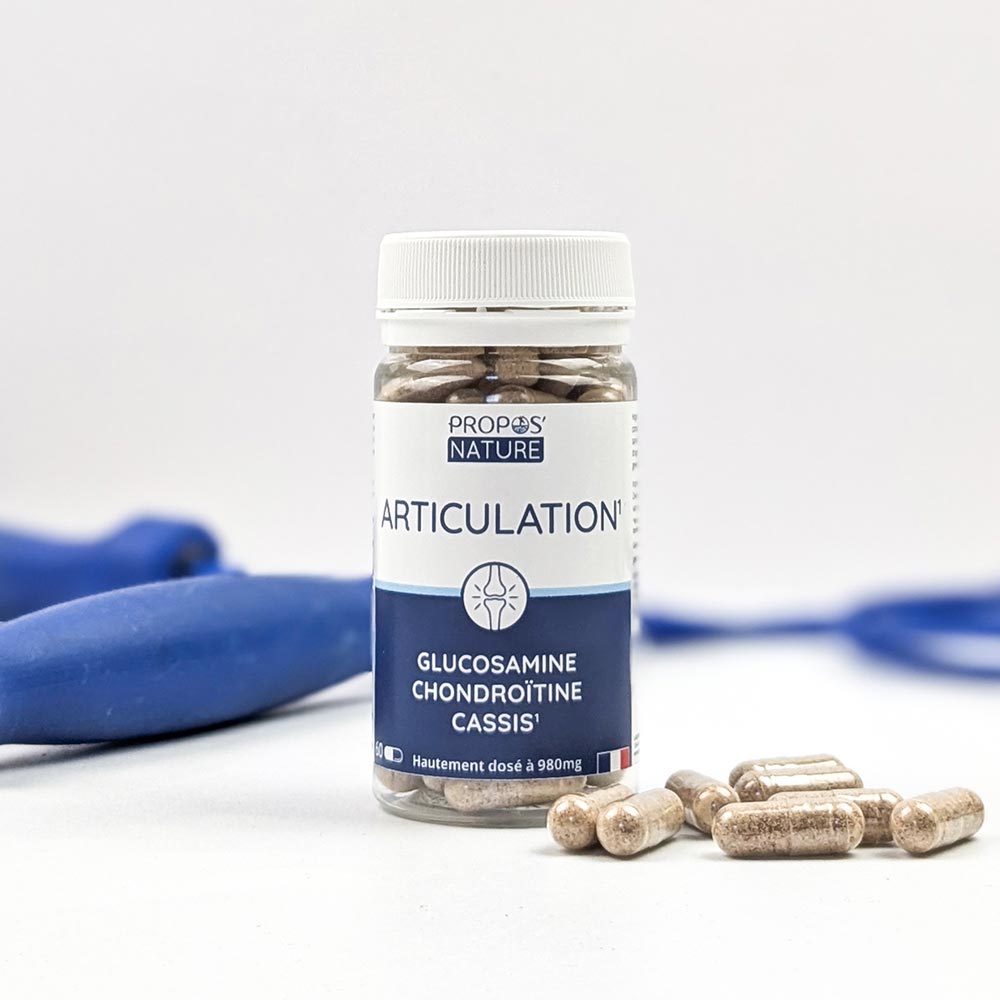 Articulation - Glucosamine Chondroitine Cassis
