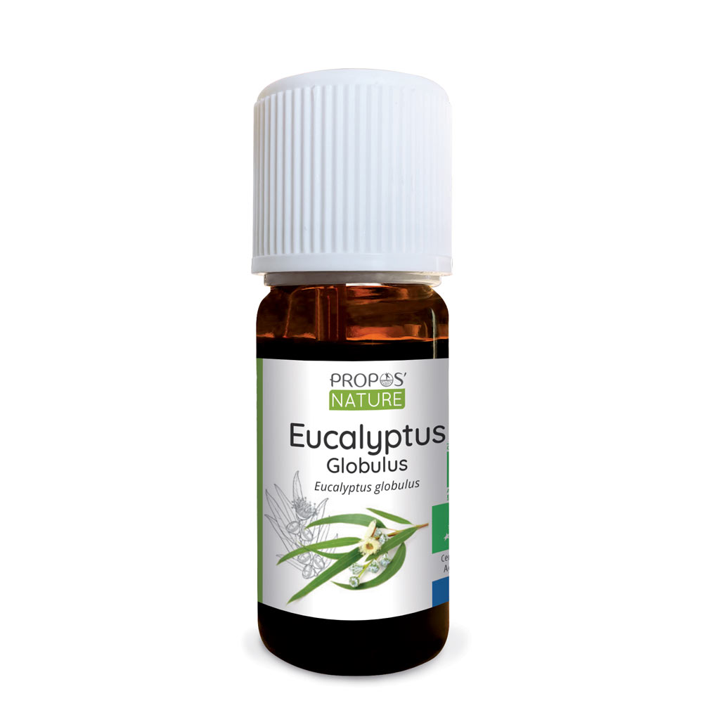Organic Eucalyptus globulus essential oil