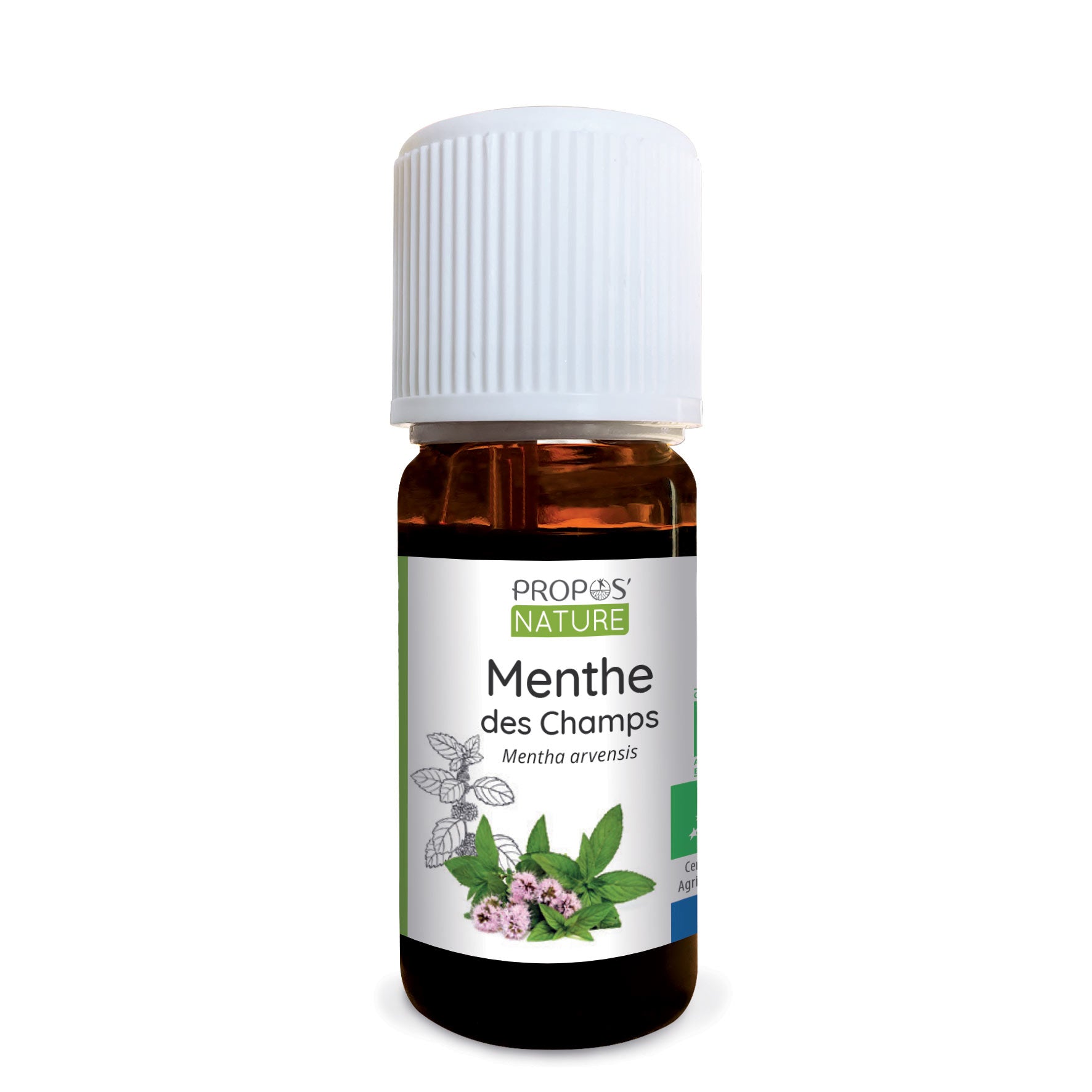 Organic Wild Mint Essential Oil