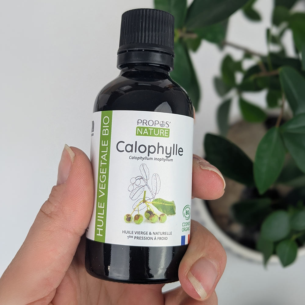 Huile de Calophylle Bio