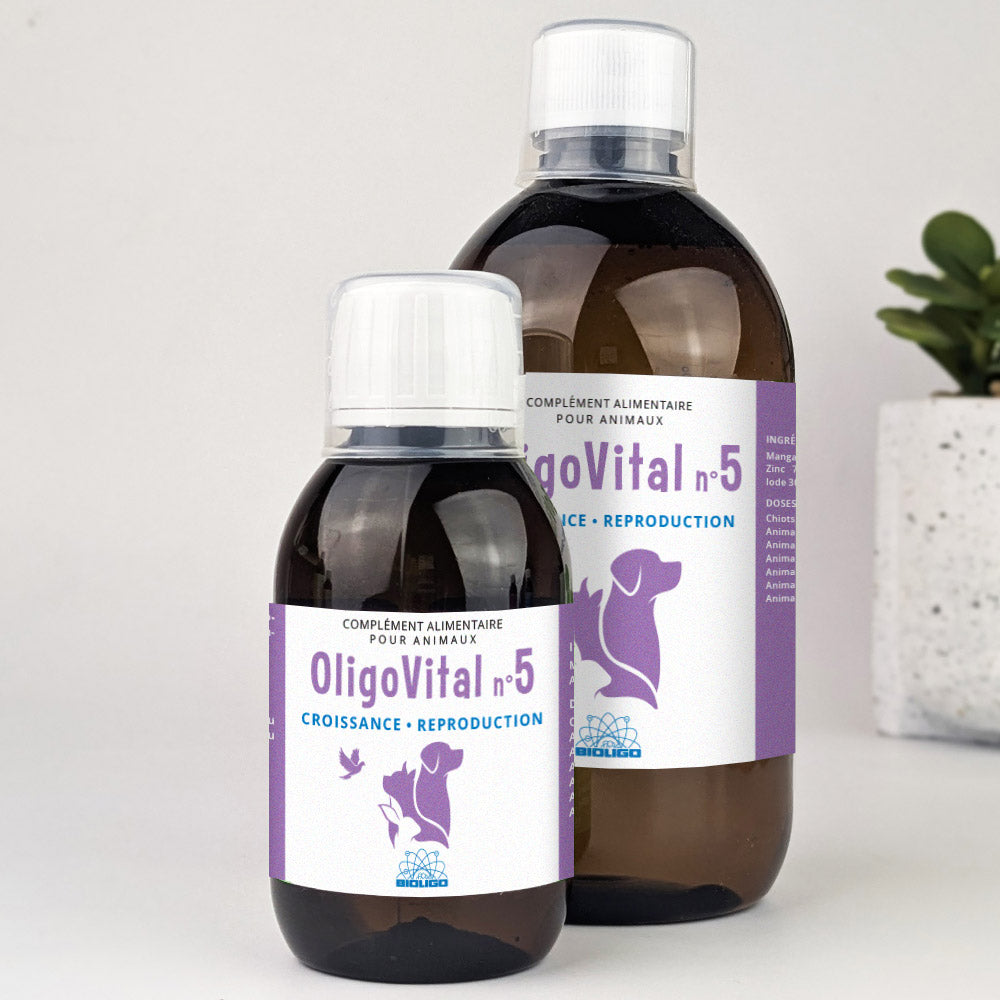 OLIGOVITAL N°5 - Breeding
