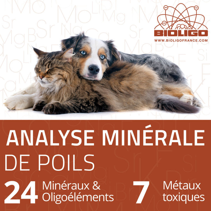 Analyse minérale de poils